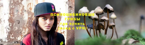 прущие грибы Балахна