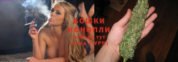 прущие грибы Балахна