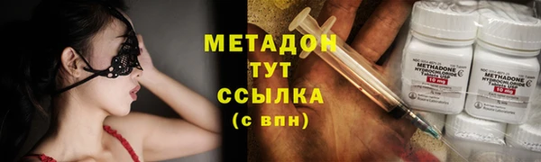 прущие грибы Балахна