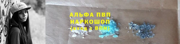 эйфоретик Баксан