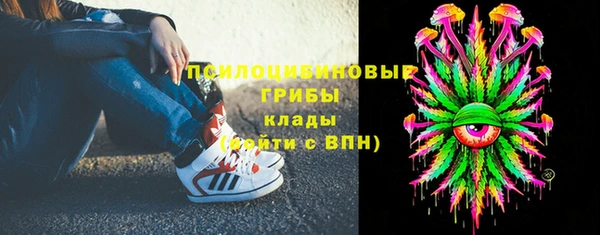 эйфоретик Баксан