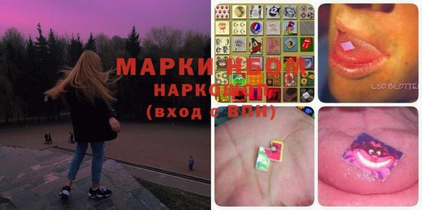 эйфоретик Баксан