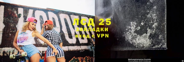 прущие грибы Балахна